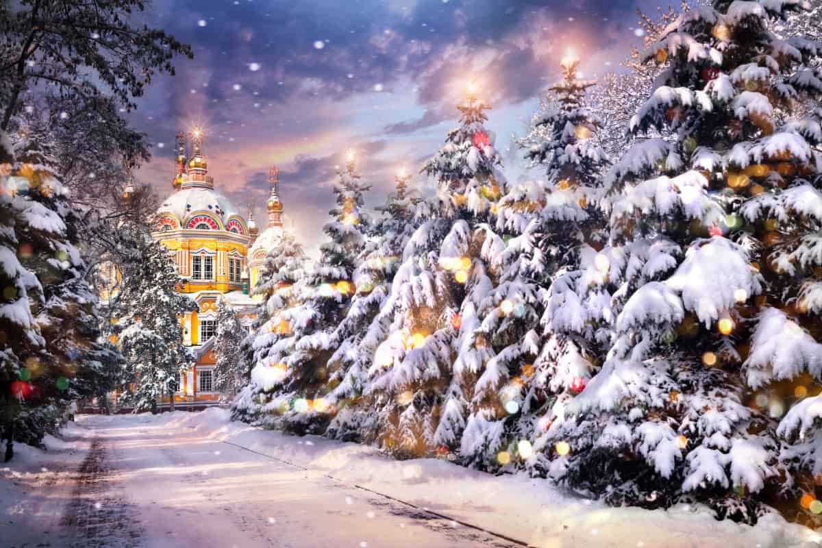 a wintery scene with Christmas lights and snow covered trees leading up to an impressive building